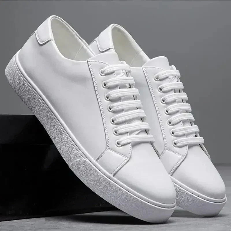 Classic Leather Shoes
