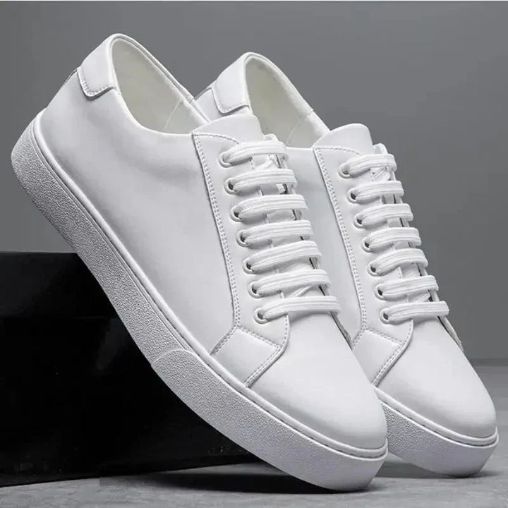 Classic Leather Shoes