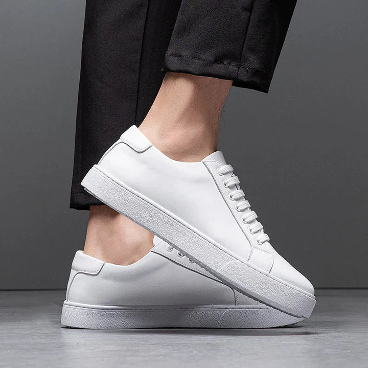 Classic Leather Shoes