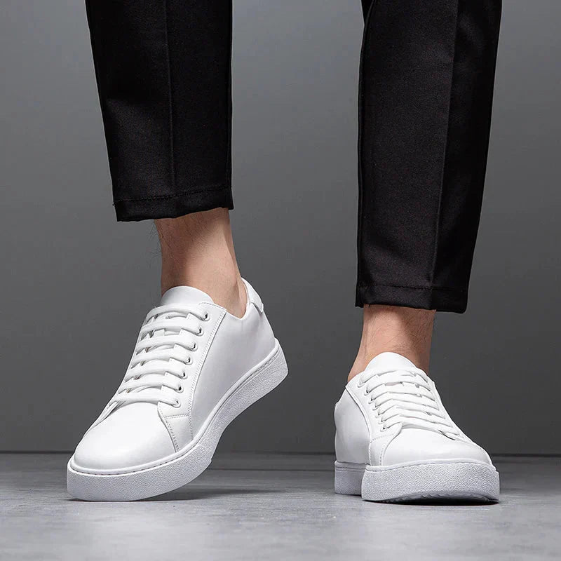 Classic Leather Shoes
